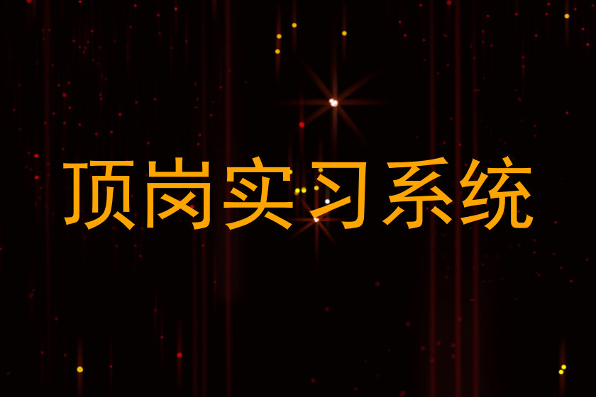 顶岗实习系统