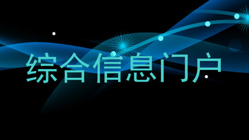 综合信息门户