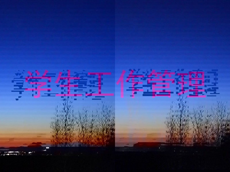 学生工作管理
