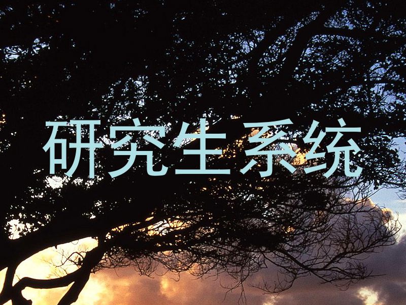 研究生系统