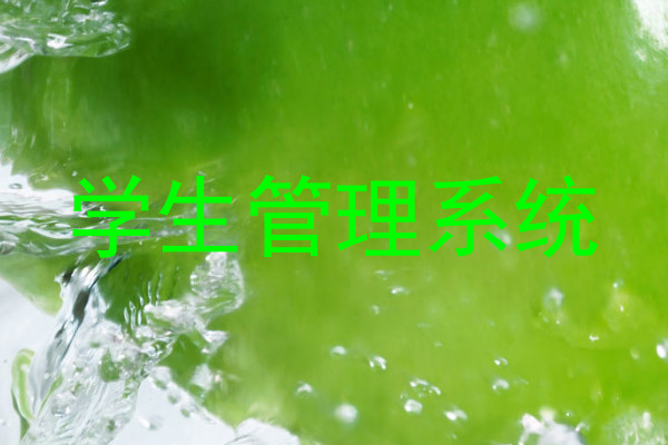 学生管理系统