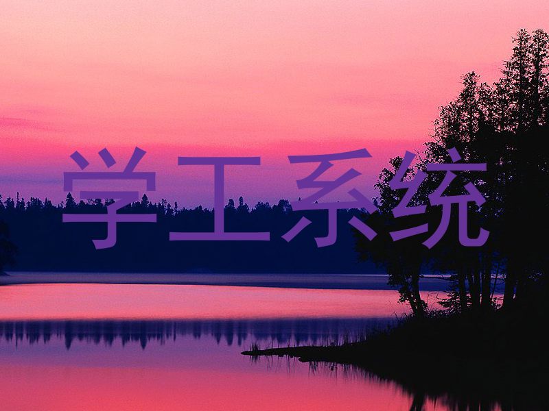 学工系统