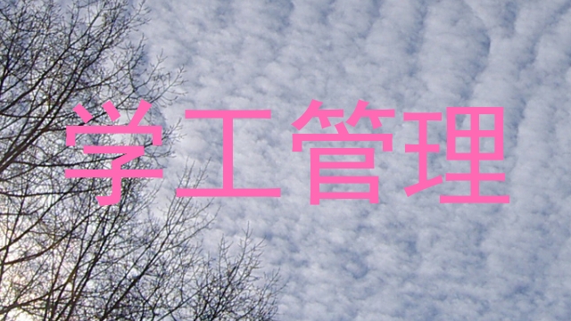 学工管理