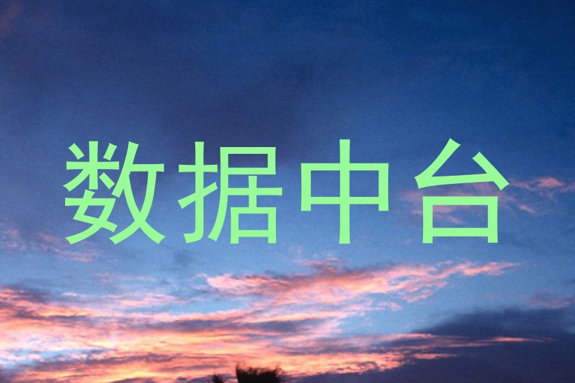 数据中台