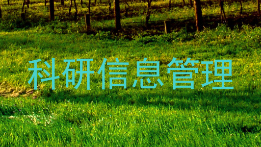 科研信息管理