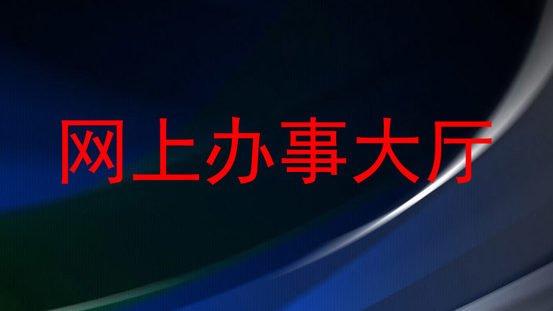 网上办事大厅