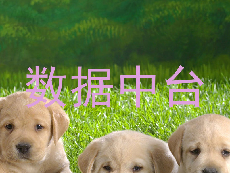 数据中台