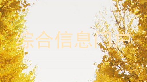 综合信息门户