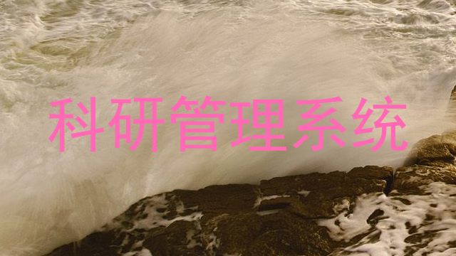 科研管理系统