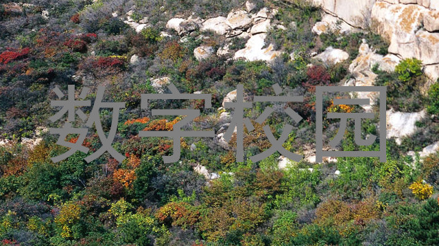 数字校园