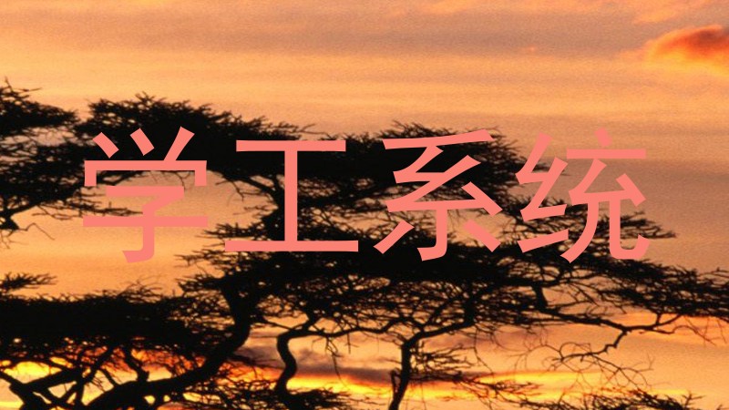 学工系统
