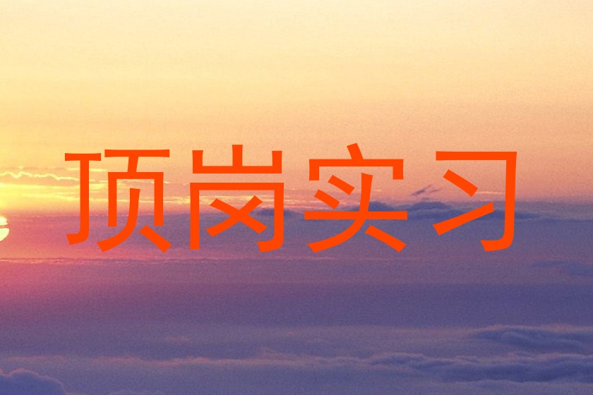 顶岗实习