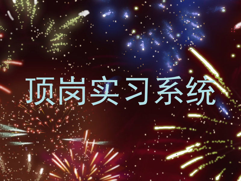 顶岗实习系统