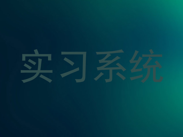 实习系统