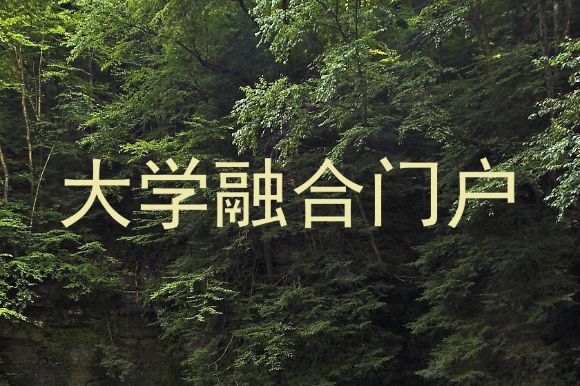 大学融合门户