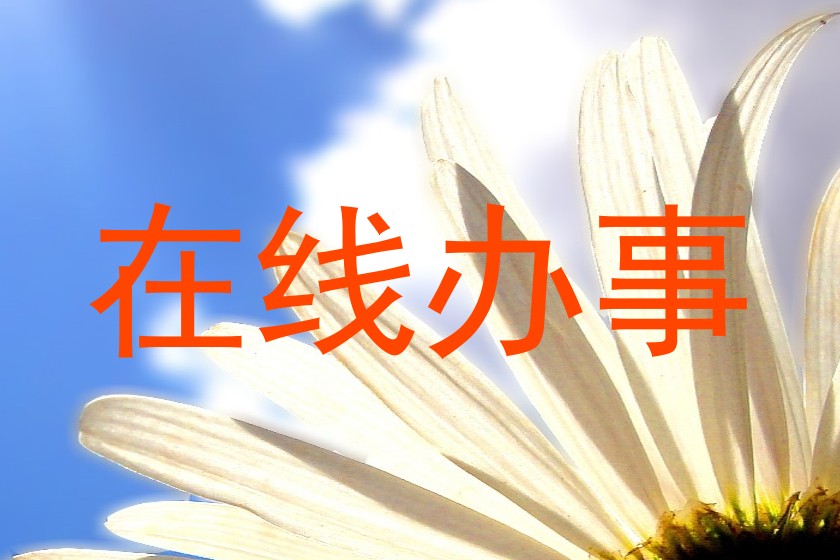 在线办事
