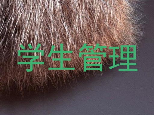 学生管理