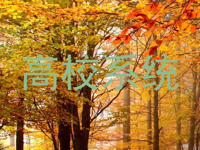 高校系统
