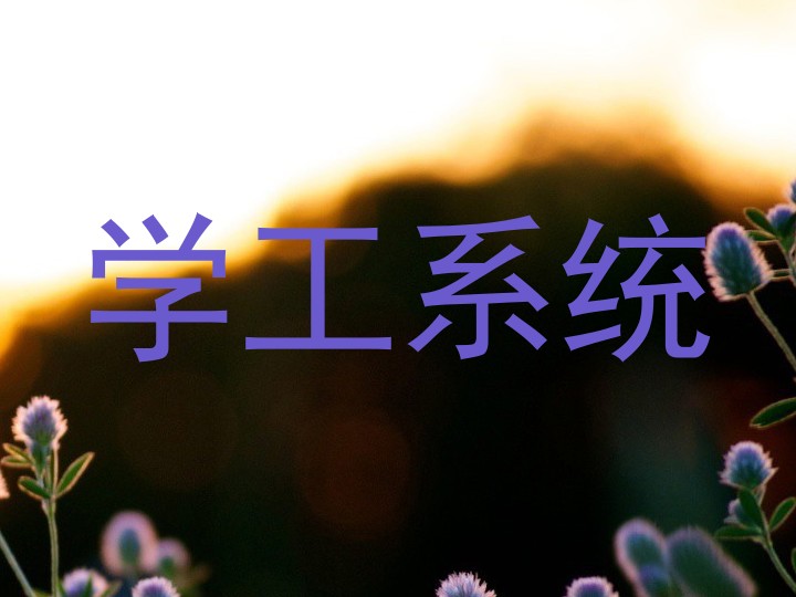 学工系统