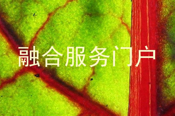 融合服务门户