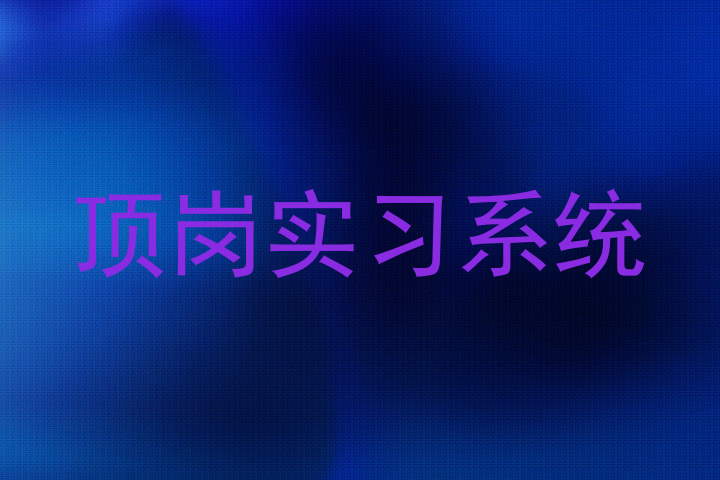 顶岗实习系统
