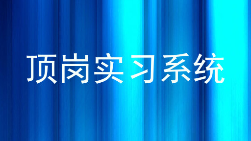 顶岗实习系统