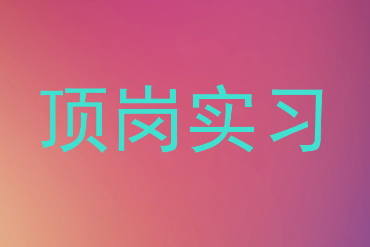 顶岗实习