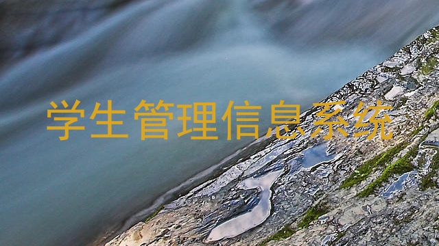 学生管理信息系统