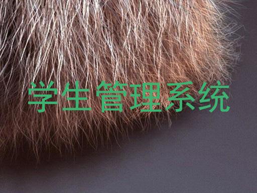 学生管理系统