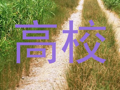 高校