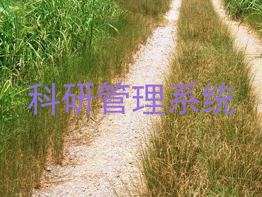 科研管理系统