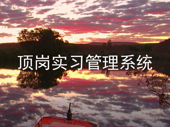 顶岗实习管理系统