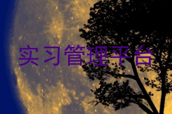 实习管理平台