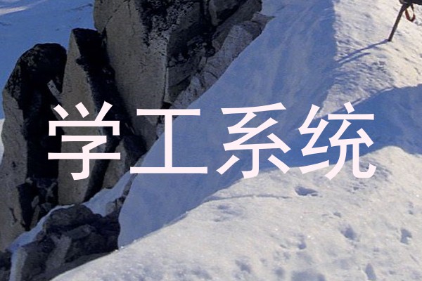 学工系统