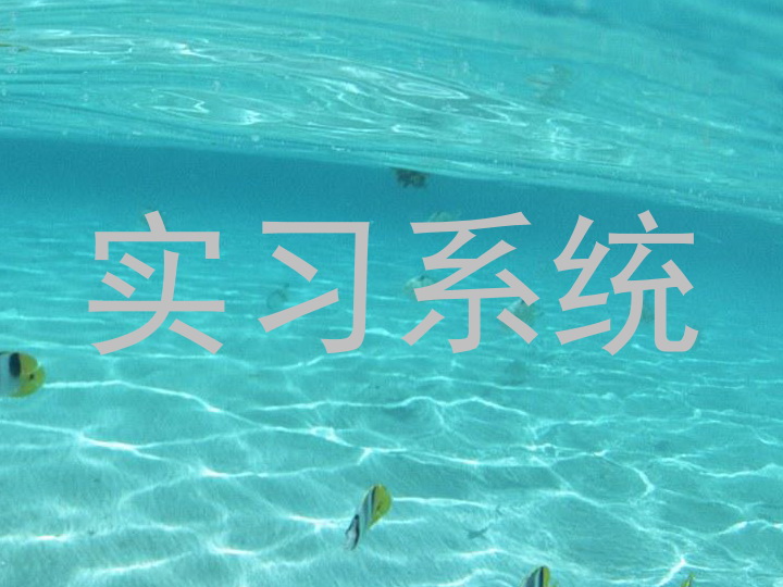 实习系统