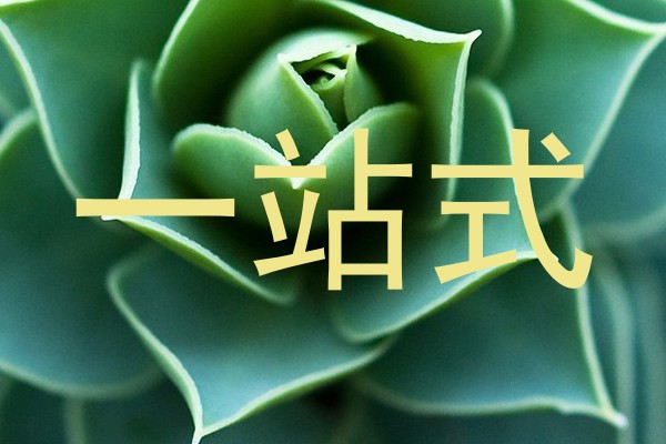 一站式