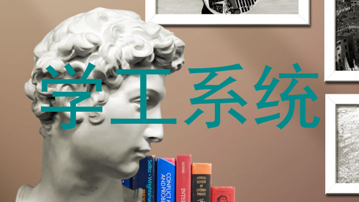 学工系统