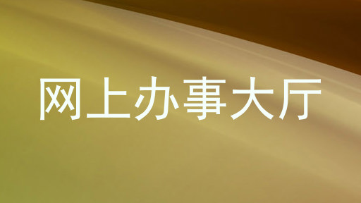网上办事大厅