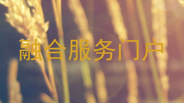 融合服务门户