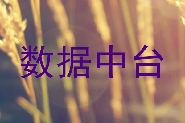 数据中台