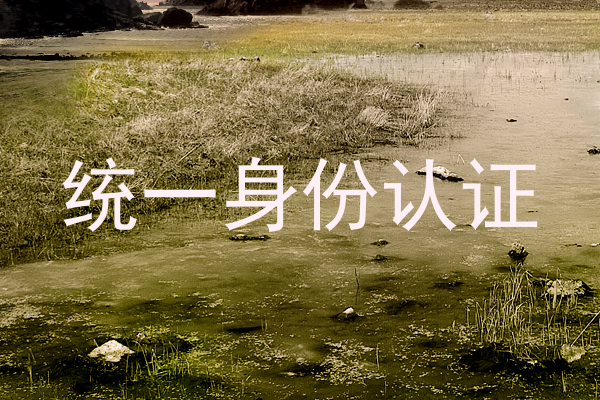 统一身份认证