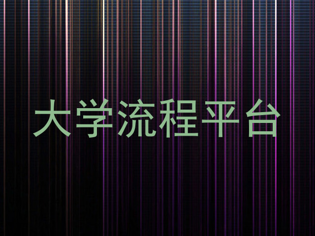 大学流程平台