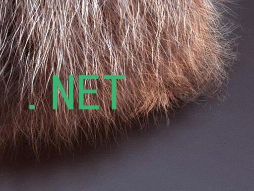 .NET