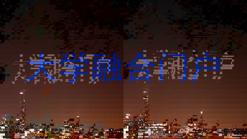 大学融合门户