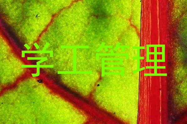 学工管理