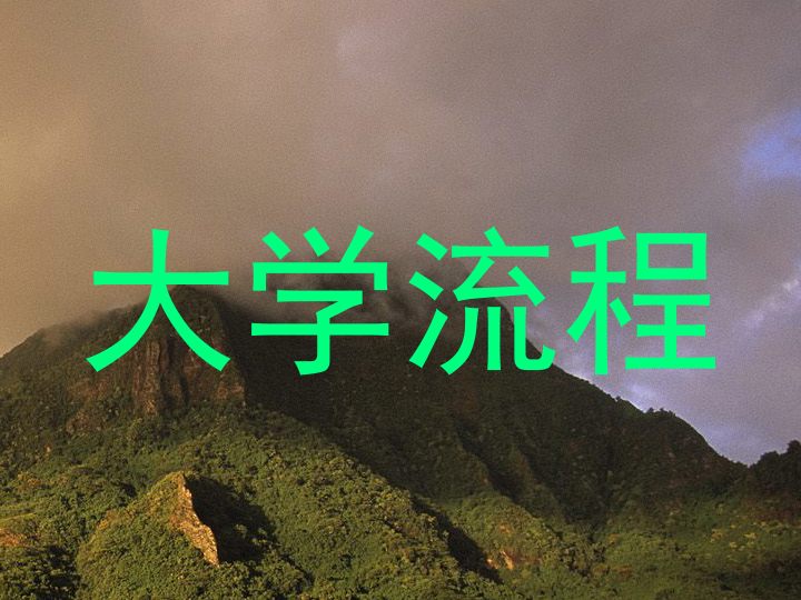 大学流程