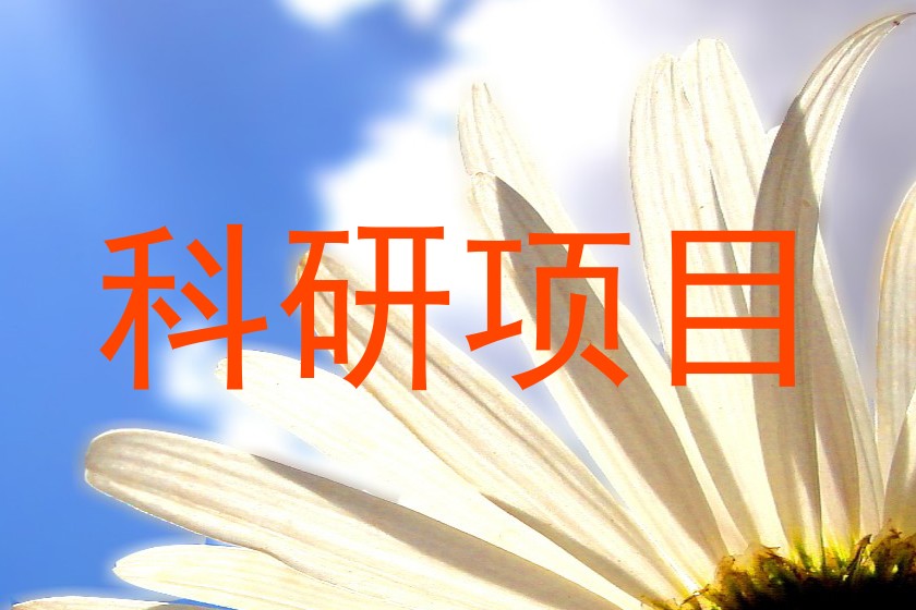 科研项目