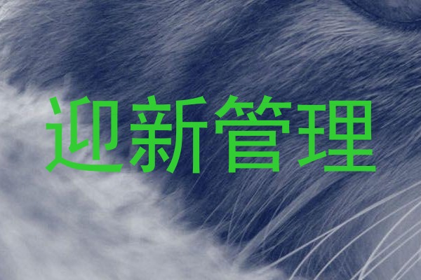 迎新管理