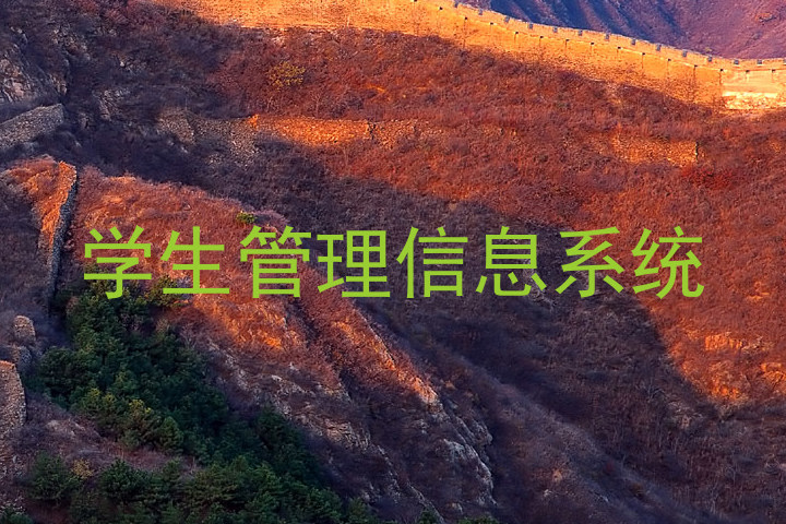 学生管理信息系统