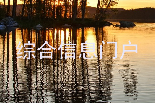 综合信息门户